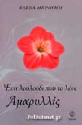 amaryllis