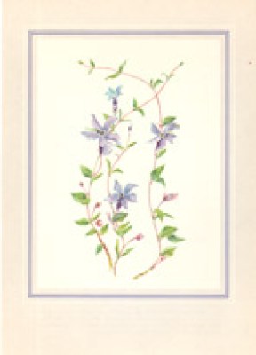 g-agrioloulouda1