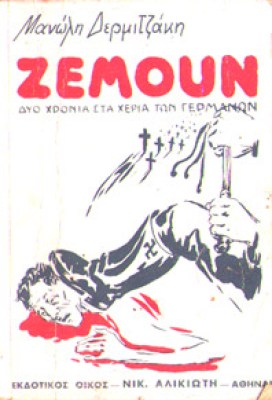 idm-zemoun