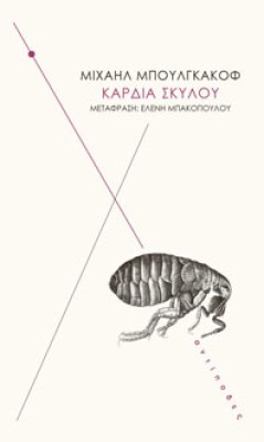 kardia-skyl
