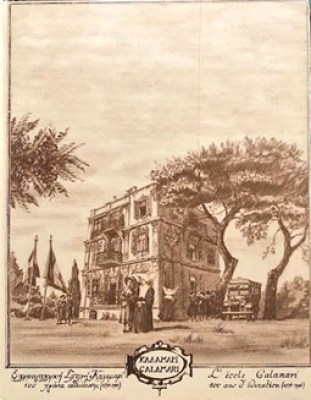 kd-kalamari