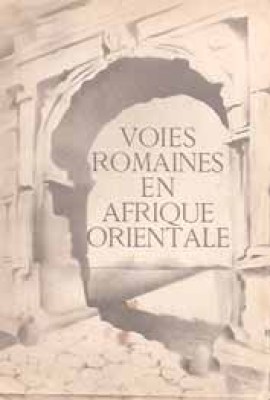 t-afrique