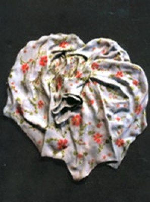 top-koloi