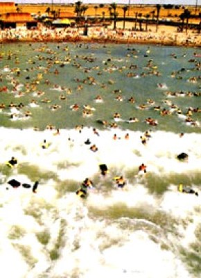 top-santsai