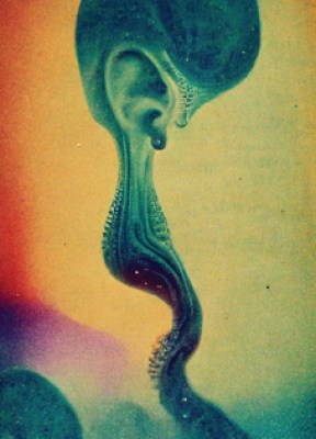 topovoros-rorschachaudio