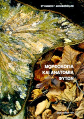 Κ-ΜΟΡΦΟ